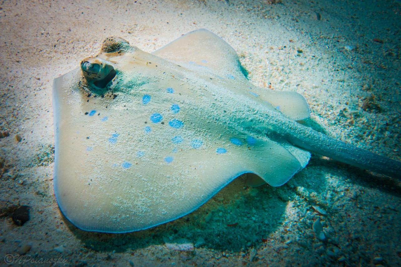 Forra Dive Resort Sunrise Koh Lipe Buitenkant foto