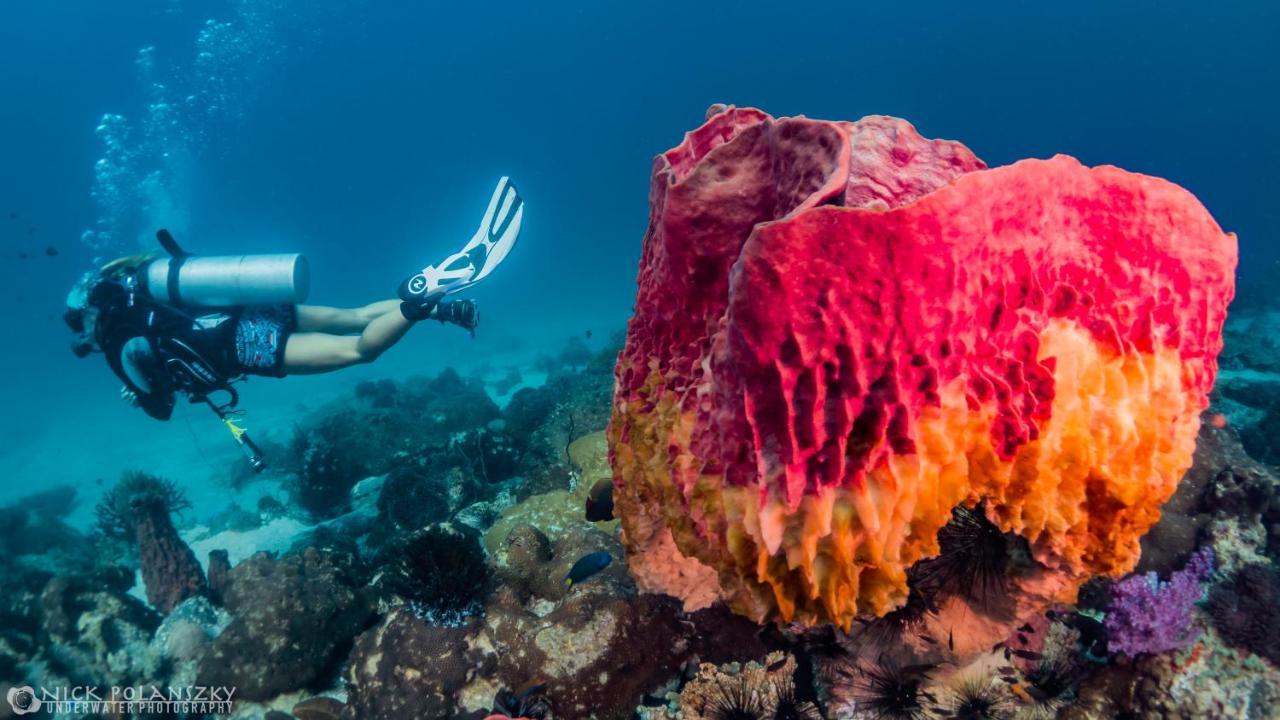 Forra Dive Resort Sunrise Koh Lipe Buitenkant foto