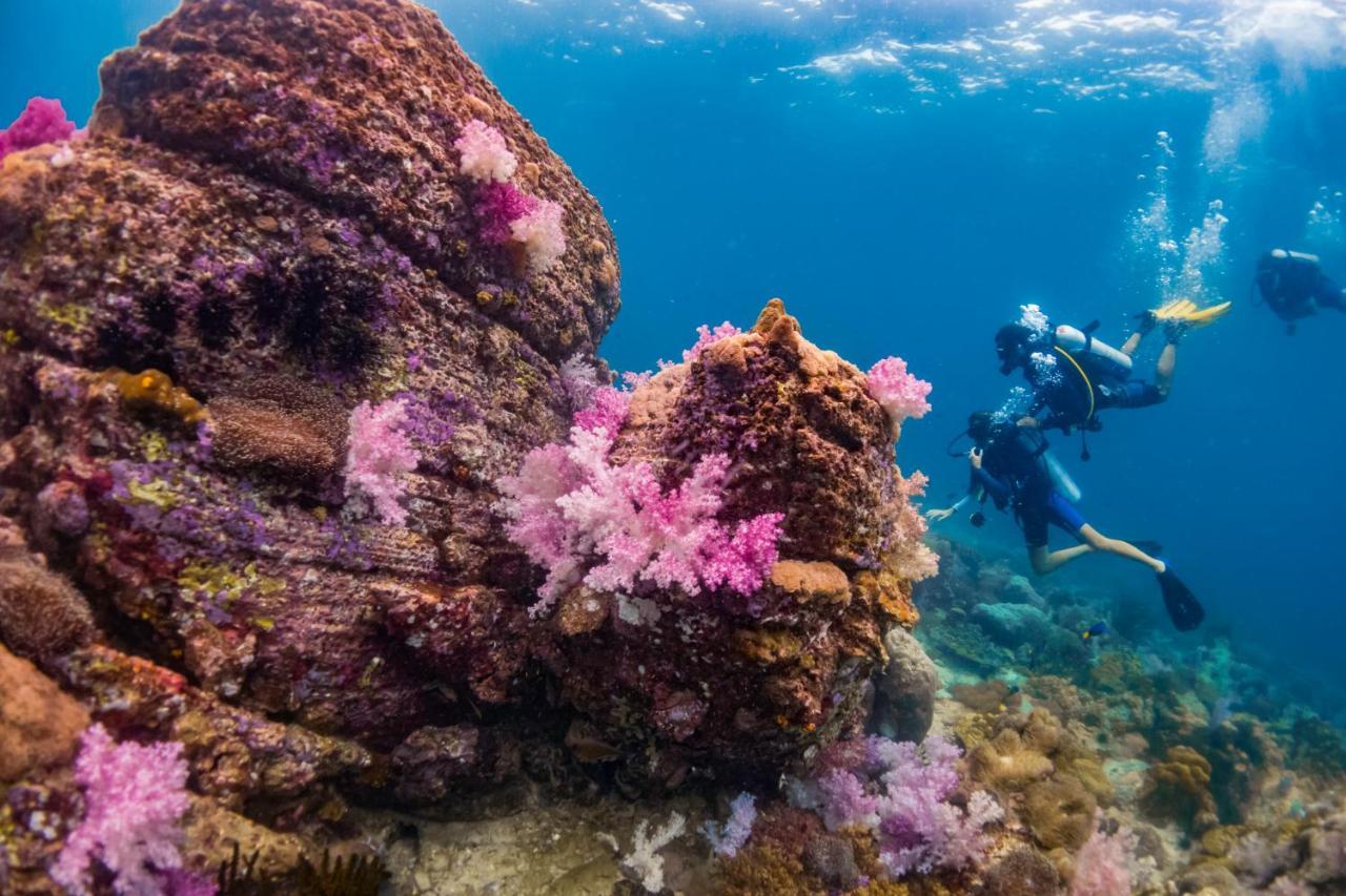 Forra Dive Resort Sunrise Koh Lipe Buitenkant foto