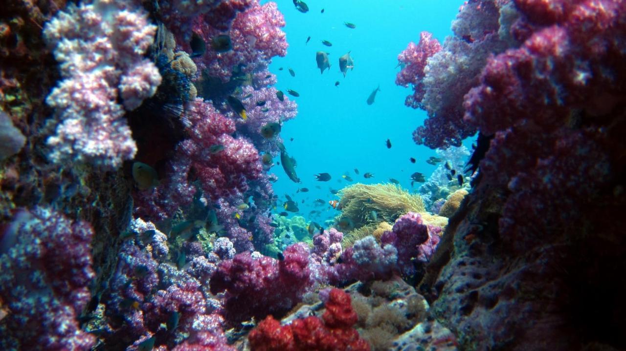 Forra Dive Resort Sunrise Koh Lipe Buitenkant foto