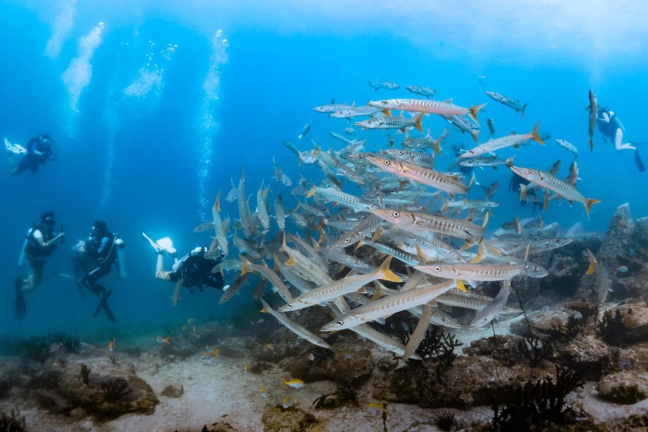 Forra Dive Resort Sunrise Koh Lipe Buitenkant foto