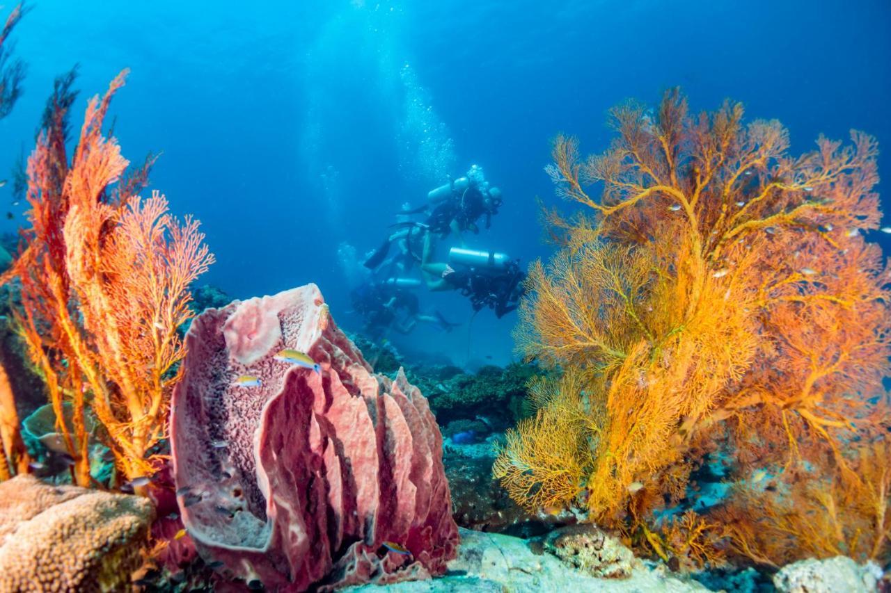 Forra Dive Resort Sunrise Koh Lipe Buitenkant foto